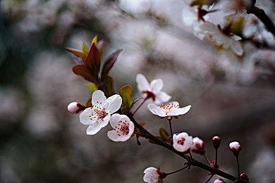 复古FPS《最后的根除者》上架steam DEMO9月28日上线